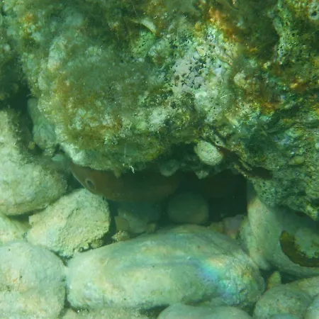 Villa Pyrgos Liapades