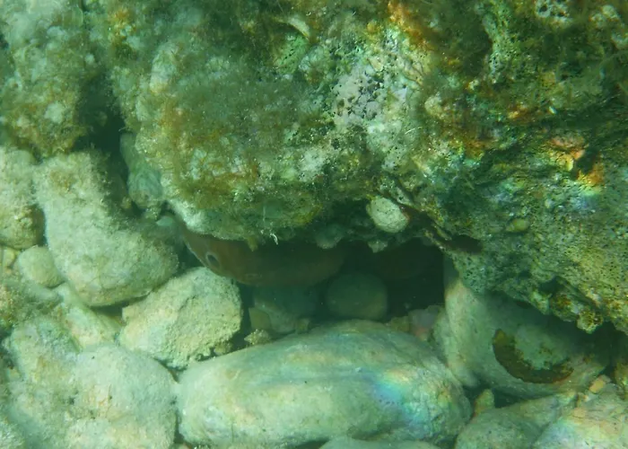 别墅 Pyrgos 里亚帕德斯