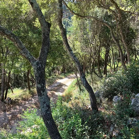 Private Pyrgos - Heated Pool & Sea View - Walking Distance From Beaches & Villa